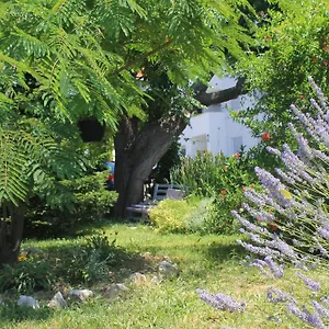 501 - Rab Island Oasis Retreat Appartamento Supetarska Draga